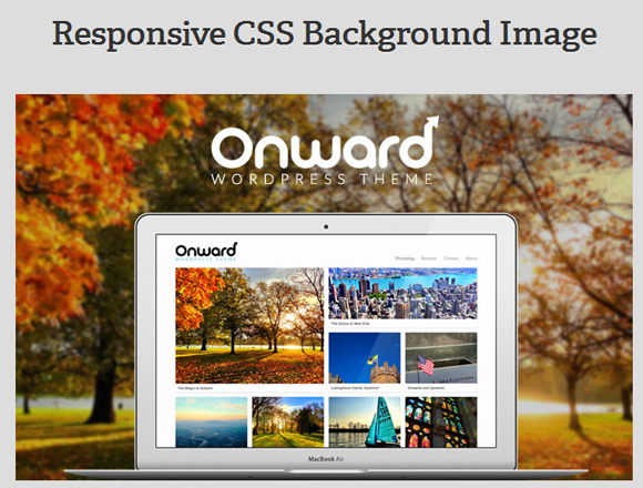 25 Useful CSS Tutorials To Boost Your Skills