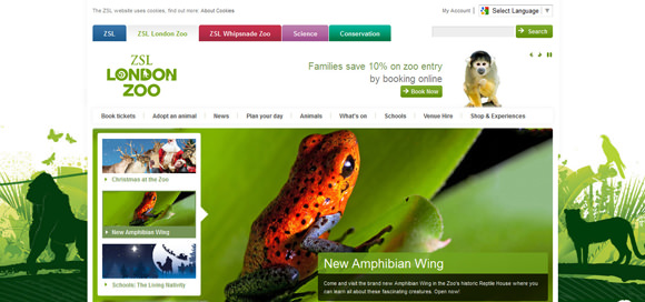 30 Wildlife Animals Zoo and Sanctuary Website Designs for Your Inspiration